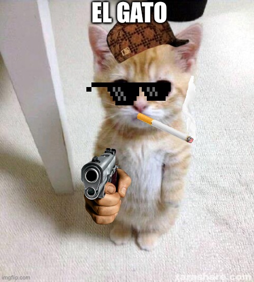 El gato | EL GATO | image tagged in memes,cute cat | made w/ Imgflip meme maker
