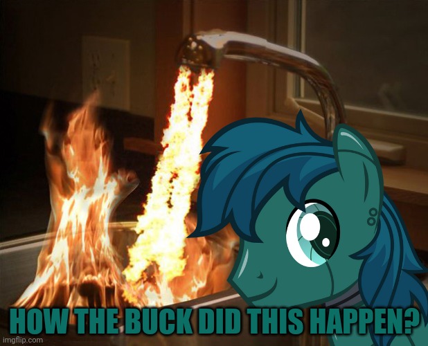 HOW THE BUCK DID THIS HAPPEN? | made w/ Imgflip meme maker