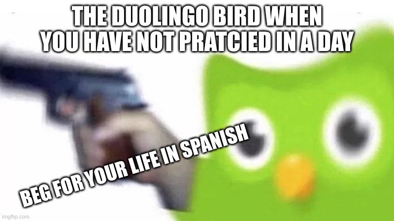 duolingo gun | THE DUOLINGO BIRD WHEN YOU HAVE NOT PRATCIED IN A DAY; BEG FOR YOUR LIFE IN SPANISH | image tagged in duolingo gun | made w/ Imgflip meme maker