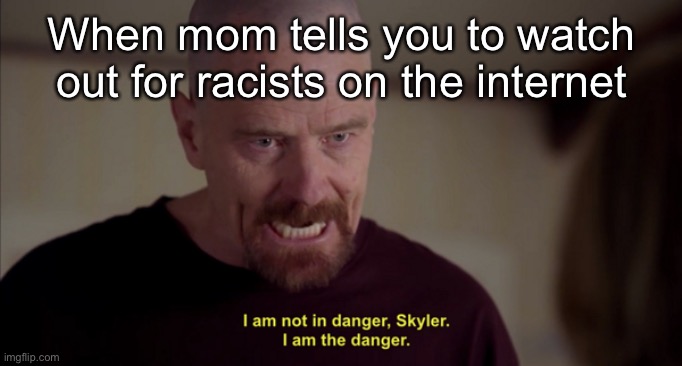 i am not in danger skyler i am the danger | When mom tells you to watch out for racists on the internet | image tagged in i am not in danger skyler i am the danger | made w/ Imgflip meme maker