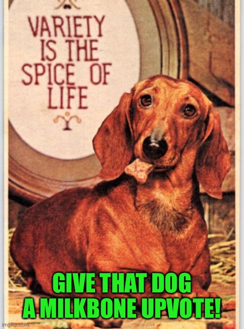 GIVE THAT DOG A MILKBONE UPVOTE! | made w/ Imgflip meme maker