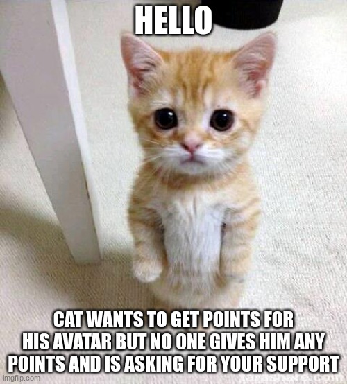 do it. he will be happy :) | HELLO; CAT WANTS TO GET POINTS FOR HIS AVATAR BUT NO ONE GIVES HIM ANY POINTS AND IS ASKING FOR YOUR SUPPORT | image tagged in memes,cute cat | made w/ Imgflip meme maker