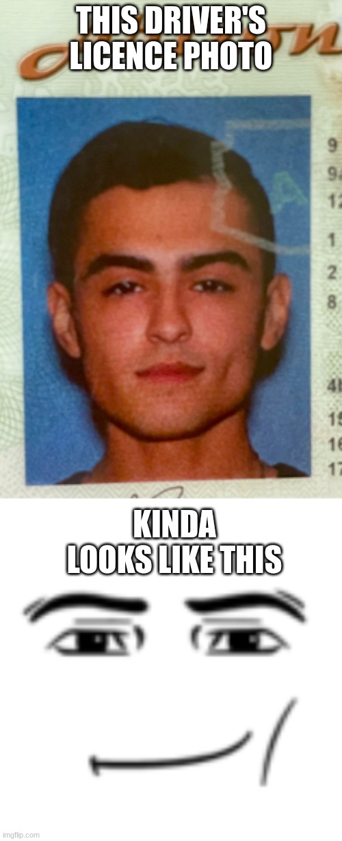 Do not look at this dude and tell me he doesn't have the man face rn bro | THIS DRIVER'S LICENCE PHOTO; KINDA LOOKS LIKE THIS | image tagged in man face | made w/ Imgflip meme maker