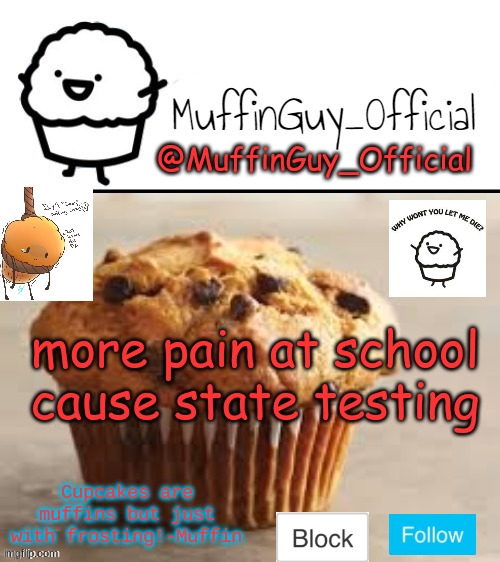 why | more pain at school cause state testing | image tagged in muffinguy_official's template | made w/ Imgflip meme maker