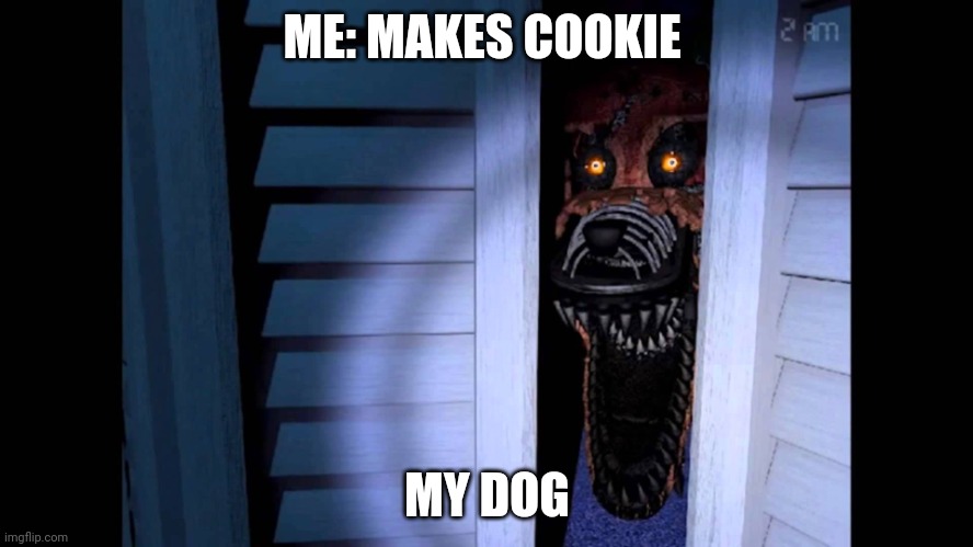 Foxy FNaF 4 | ME: MAKES COOKIE; MY DOG | image tagged in foxy fnaf 4 | made w/ Imgflip meme maker