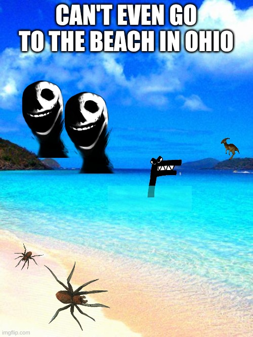 beach | CAN'T EVEN GO TO THE BEACH IN OHIO | image tagged in beach | made w/ Imgflip meme maker