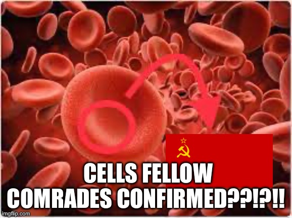 CELLS FELLOW COMRADES CONFIRMED??!?!! | made w/ Imgflip meme maker