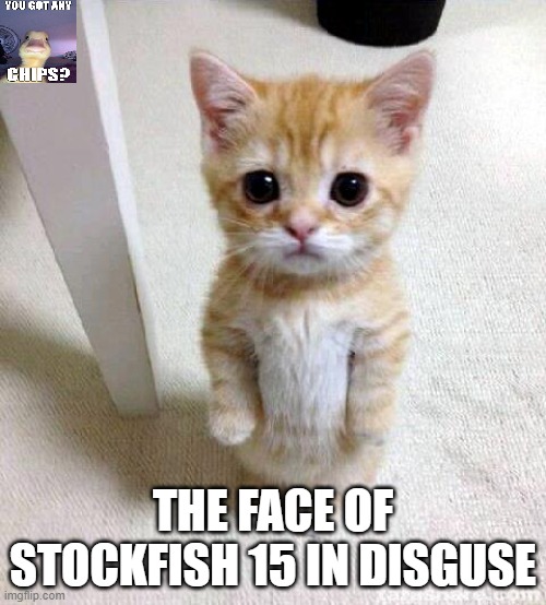 mittens chess bot | THE FACE OF STOCKFISH 15 IN DISGUSE | image tagged in memes,cute cat | made w/ Imgflip meme maker