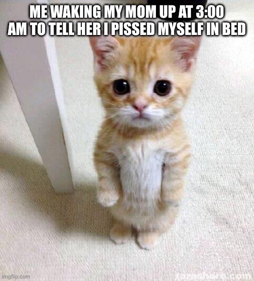 I knew I shouldn’t have drank that Gatorade! | ME WAKING MY MOM UP AT 3:00 AM TO TELL HER I PISSED MYSELF IN BED | image tagged in memes,cute cat | made w/ Imgflip meme maker