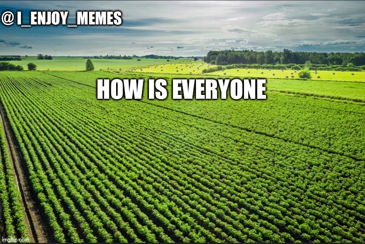 I_enjoy_memes_template | HOW IS EVERYONE | image tagged in i_enjoy_memes_template | made w/ Imgflip meme maker