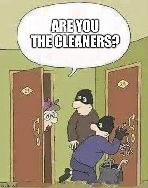 my grandma | ARE YOU THE CLEANERS? | image tagged in robbers | made w/ Imgflip meme maker
