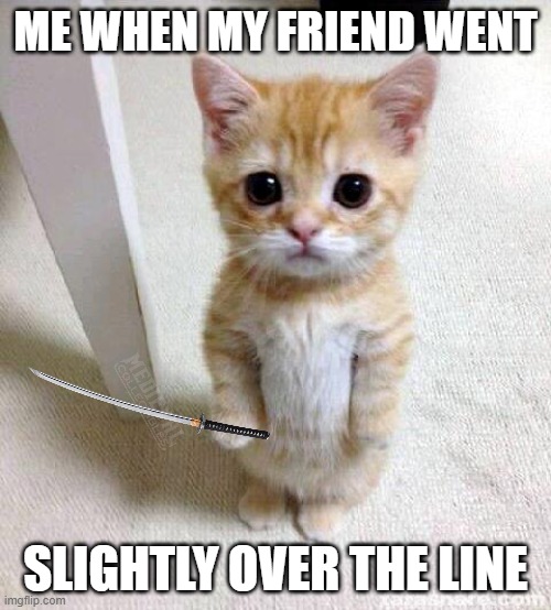 Cute Cat Meme | ME WHEN MY FRIEND WENT; SLIGHTLY OVER THE LINE | image tagged in memes,cute cat | made w/ Imgflip meme maker