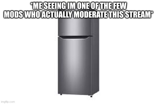 Beacause im a fridge | *ME SEEING IM ONE OF THE FEW MODS WHO ACTUALLY MODERATE THIS STREAM* | image tagged in refrigerator | made w/ Imgflip meme maker