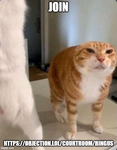 Schizophrenic Cat.pdf | JOIN; HTTPS://OBJECTION.LOL/COURTROOM/BINGUS | image tagged in schizophrenic cat pdf | made w/ Imgflip meme maker