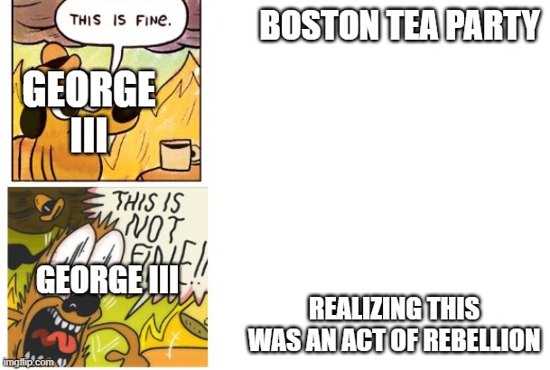 This is Fine, This is Not Fine | BOSTON TEA PARTY REALIZING THIS WAS AN ACT OF REBELLION GEORGE III GEORGE III | image tagged in this is fine this is not fine | made w/ Imgflip meme maker