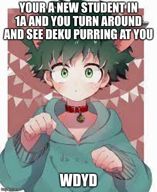 any rp allowed memechat me to rp | YOUR A NEW STUDENT IN 1A AND YOU TURN AROUND AND SEE DEKU PURRING AT YOU; WDYD | made w/ Imgflip meme maker