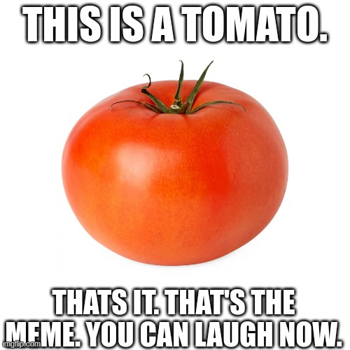 this is a tomato | THIS IS A TOMATO. THATS IT. THAT'S THE MEME. YOU CAN LAUGH NOW. | image tagged in fun,tomato,wheres the meme | made w/ Imgflip meme maker