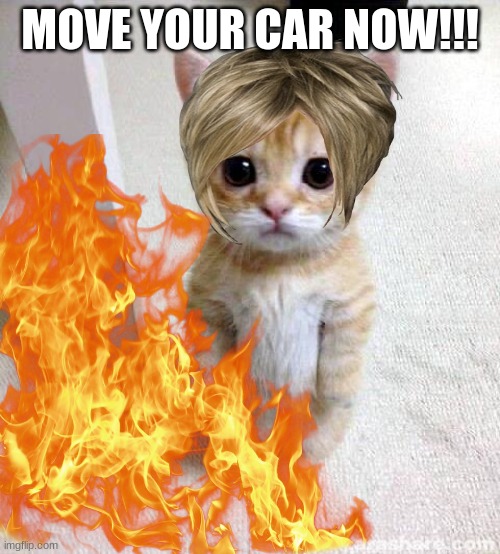 MOVE YOUR CAR NOW!!! | made w/ Imgflip meme maker