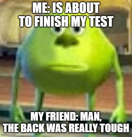 Sully Wazowski | ME: IS ABOUT TO FINISH MY TEST; MY FRIEND: MAN, THE BACK WAS REALLY TOUGH | image tagged in sully wazowski | made w/ Imgflip meme maker