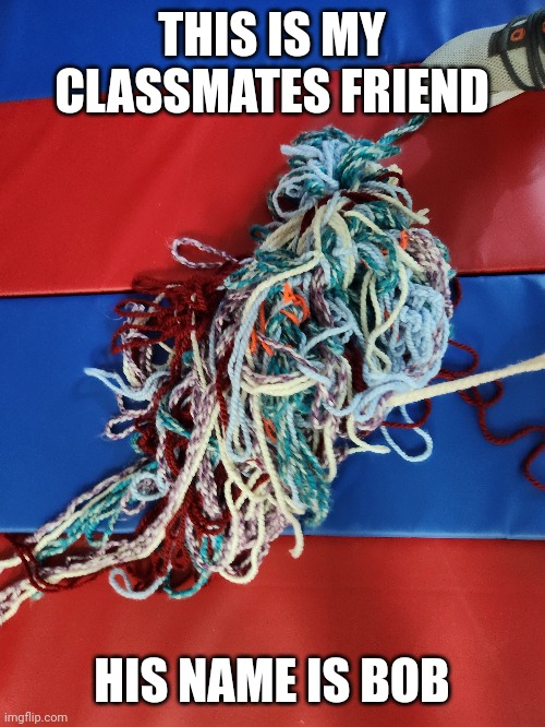 bob | THIS IS MY CLASSMATES FRIEND; HIS NAME IS BOB | made w/ Imgflip meme maker