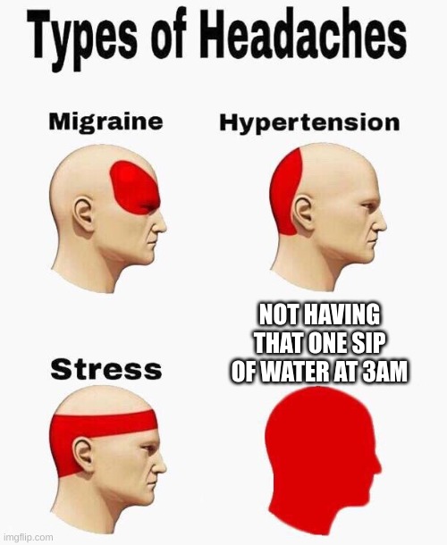 it do be hittin different tho | NOT HAVING THAT ONE SIP OF WATER AT 3AM | image tagged in headaches,memes | made w/ Imgflip meme maker
