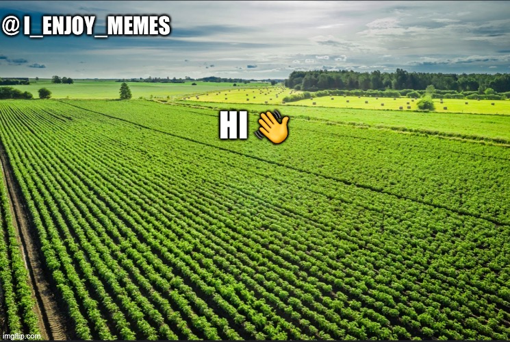 I_enjoy_memes_template | HI 👋 | image tagged in i_enjoy_memes_template | made w/ Imgflip meme maker