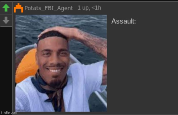 Assault: | image tagged in assault | made w/ Imgflip meme maker