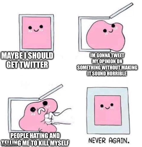 Real story | MAYBE I SHOULD GET TWITTER; IM GONNA TWEET MY OPINION ON SOMETHING WITHOUT MAKING IT SOUND HORRIBLE; PEOPLE HATING AND TELLING ME TO KILL MYSELF | image tagged in never again | made w/ Imgflip meme maker