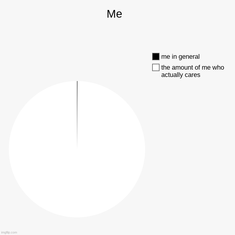 me irl | Me  | the amount of me who actually cares, me in general | image tagged in charts,pie charts | made w/ Imgflip chart maker