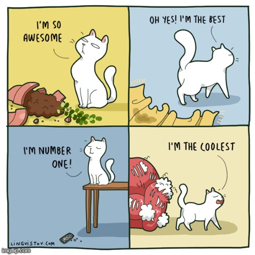 A Cat's Way Of Thinking | image tagged in memes,comics/cartoons,cats,mayhem,too cool,the best | made w/ Imgflip meme maker