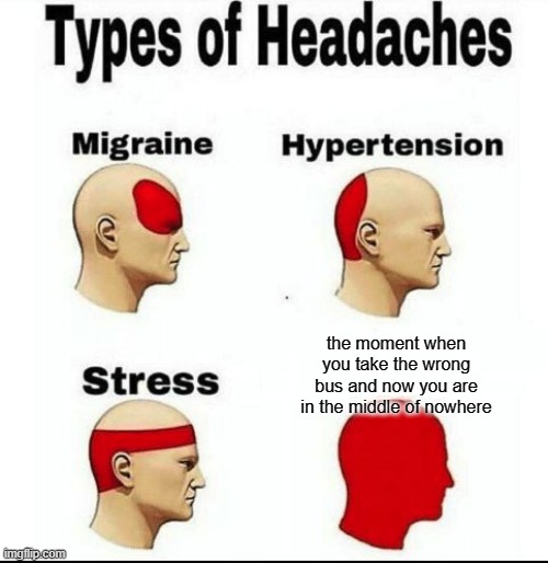 AHH NOO | the moment when you take the wrong bus and now you are in the middle of nowhere | image tagged in types of headaches meme | made w/ Imgflip meme maker