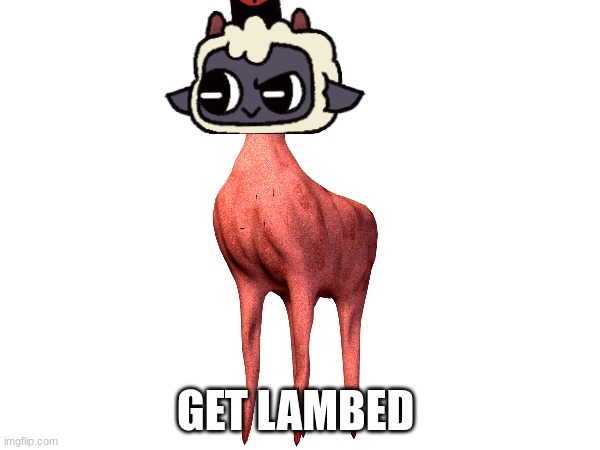 get lambed | GET LAMBED | image tagged in cult,cult of the lamb,lamb,scared,cursed,cursed image | made w/ Imgflip meme maker