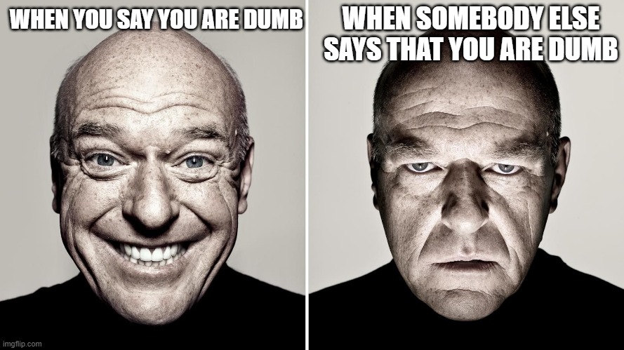 I am dumb | WHEN SOMEBODY ELSE SAYS THAT YOU ARE DUMB; WHEN YOU SAY YOU ARE DUMB | image tagged in dean norris's reaction | made w/ Imgflip meme maker