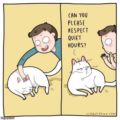 A Cat Guy's Way Of Thinking | image tagged in memes,comics/cartoons,pet,cats,quiet hours,sorry | made w/ Imgflip meme maker