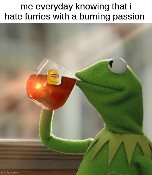 yes | me everyday knowing that i hate furries with a burning passion | image tagged in memes,but that's none of my business,kermit the frog | made w/ Imgflip meme maker