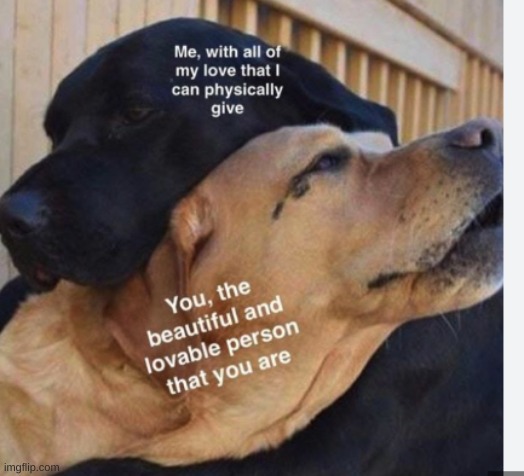 Love Doggo | image tagged in i love you,dogs | made w/ Imgflip meme maker