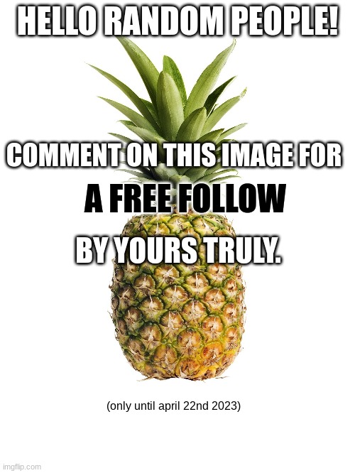 HELLO RANDOM PEOPLE! COMMENT ON THIS IMAGE FOR; A FREE FOLLOW; BY YOURS TRULY. (only until april 22nd 2023) | image tagged in do,you,want,a,follow,or not | made w/ Imgflip meme maker
