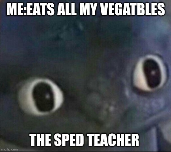 tasty | ME:EATS ALL MY VEGATBLES; THE SPED TEACHER | image tagged in toothless blank stare | made w/ Imgflip meme maker