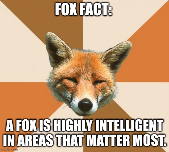 Fox Facts #2 | FOX FACT:; A FOX IS HIGHLY INTELLIGENT IN AREAS THAT MATTER MOST. | image tagged in 2 | made w/ Imgflip meme maker