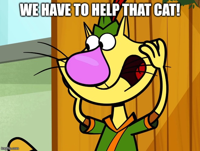 WE HAVE TO HELP THAT CAT! | made w/ Imgflip meme maker
