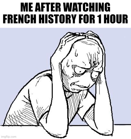 I just watched French history | ME AFTER WATCHING FRENCH HISTORY FOR 1 HOUR | image tagged in stressed meme,memes | made w/ Imgflip meme maker