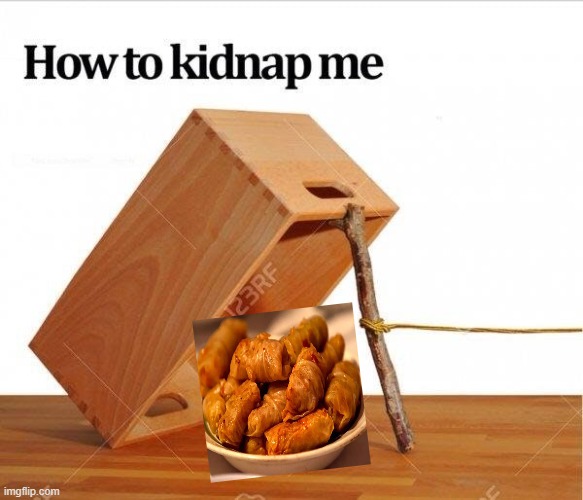 Very easy to use | image tagged in how to kidnap me,sarmalas | made w/ Imgflip meme maker