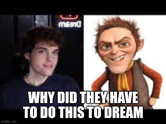 dream | WHY DID THEY HAVE TO DO THIS TO DREAM | image tagged in bruh,dream,goofy ahh | made w/ Imgflip meme maker