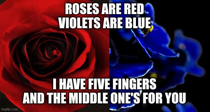 poetry | ROSES ARE RED
VIOLETS ARE BLUE; I HAVE FIVE FINGERS
AND THE MIDDLE ONE'S FOR YOU | image tagged in roses are red violets are blue | made w/ Imgflip meme maker