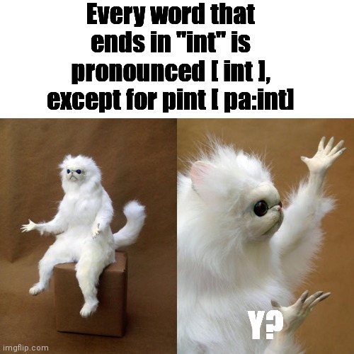 English is stoopid | Every word that ends in "int" is pronounced [ int ], except for pint [ pa:int]; Y? | image tagged in memes,persian cat room guardian,english | made w/ Imgflip meme maker
