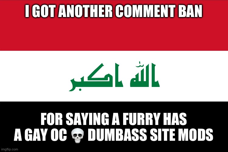 Another 2 days of talking through posts :crying: | I GOT ANOTHER COMMENT BAN; FOR SAYING A FURRY HAS A GAY OC 💀 DUMBASS SITE MODS | image tagged in flag of iraq | made w/ Imgflip meme maker