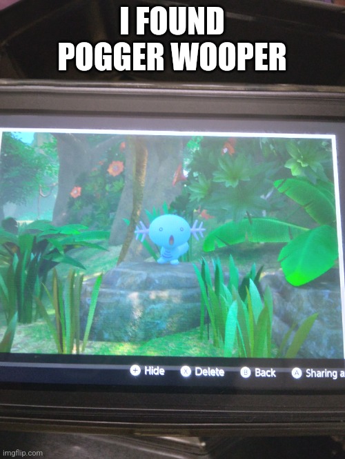 Poggers | I FOUND POGGER WOOPER | image tagged in pokemon | made w/ Imgflip meme maker