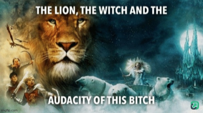 post above and below | image tagged in the lion the witch and the audacity of this bitch | made w/ Imgflip meme maker