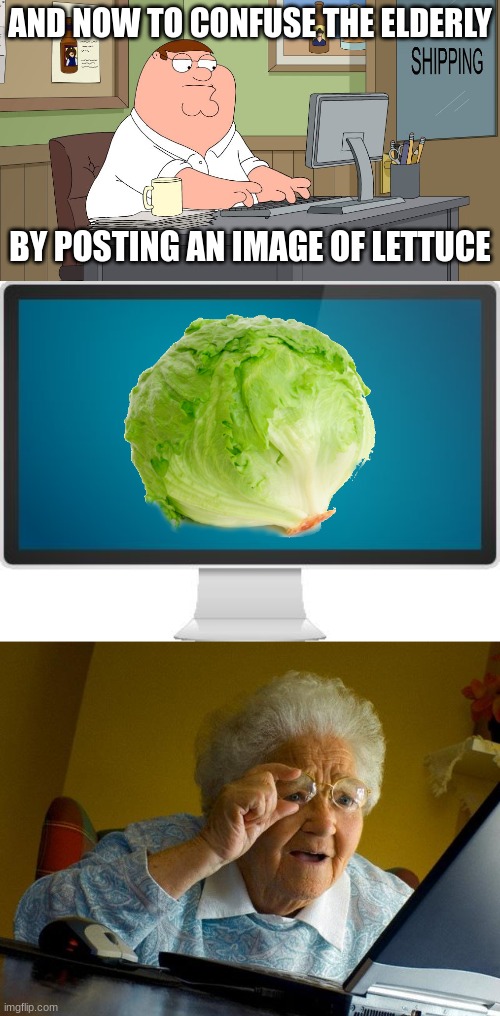 pointless meme | AND NOW TO CONFUSE THE ELDERLY; BY POSTING AN IMAGE OF LETTUCE | image tagged in peter griffin at the computer,computer screen,memes,grandma finds the internet | made w/ Imgflip meme maker