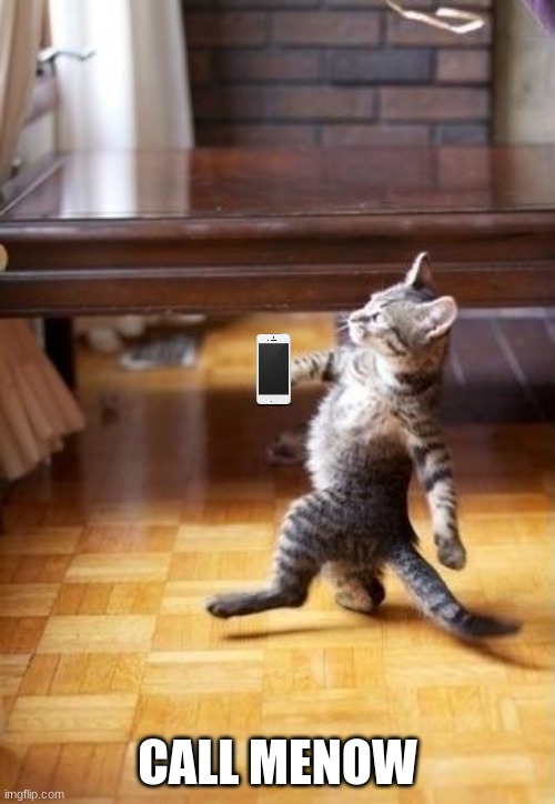 Cool Cat Stroll | CALL MENOW | image tagged in memes,cool cat stroll | made w/ Imgflip meme maker